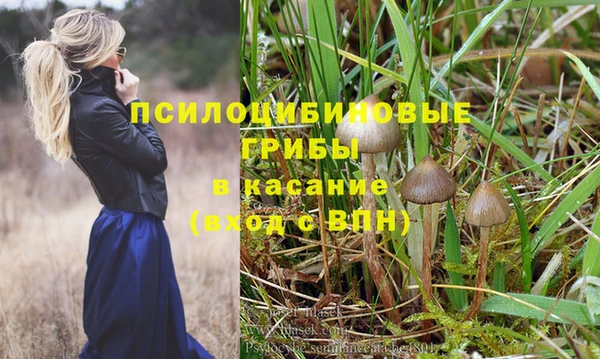 прущая мука Абинск