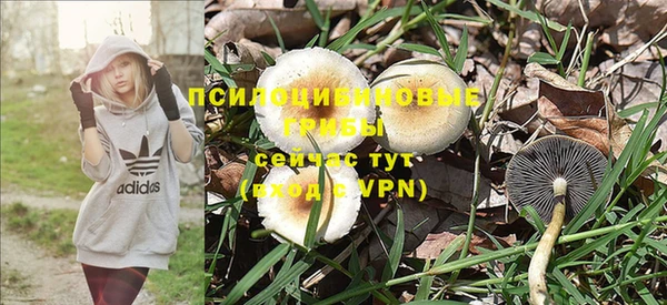 сатива Абаза