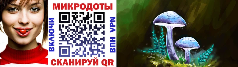 дарнет шоп  мега сайт  Псилоцибиновые грибы мицелий  Алейск 
